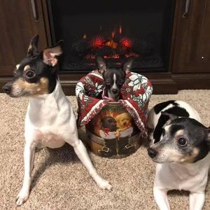 Meet your Posher, Sally